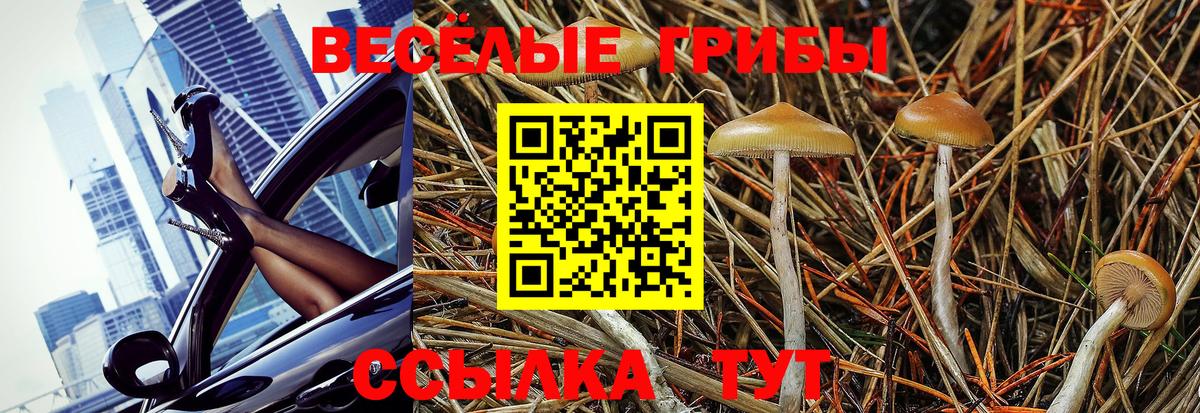 Магнитогорск  Псилоцибиновые грибы Psilocybe  Вход с VPN 