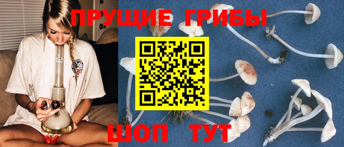 Псилоцибиновые грибы Psilocybine cubensis Магнитогорск